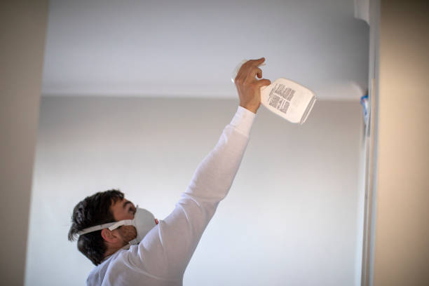 Mold Removal and Inspection in Vicksburg, MI